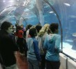 aquari (3)